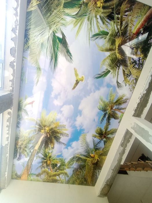 натяжной паталок фото обой хизмати