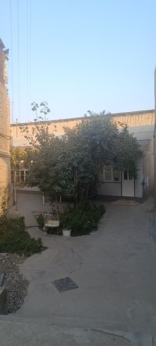 Shaharni jgaridan Afsonani orqasidagi koʻchadagi hovlimz