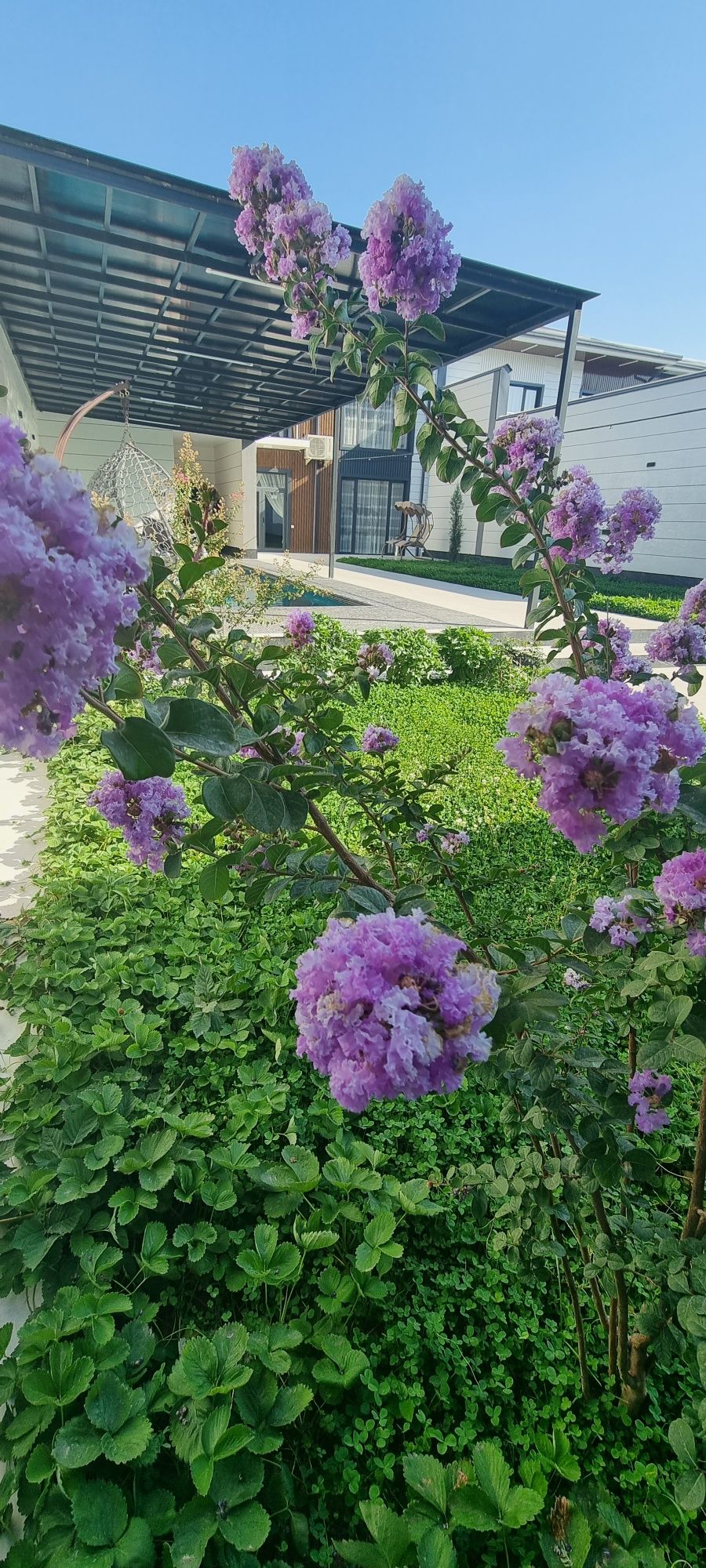 Dacha. Дача. Новая. Своя. Обогрев бассейн.24/7. Оила ва улфатларга.