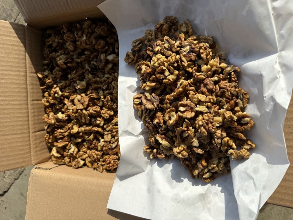 Miez de Nuca Maro, cafeniu, Pasha & Walnuts