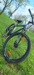 Bicicleta mtb team edition D S I bike