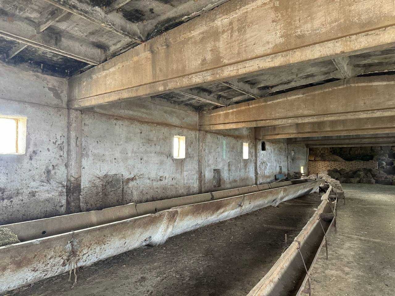 Mirishkor tumanida Molxona binosi bolib tolash sharti bilan sotiladi