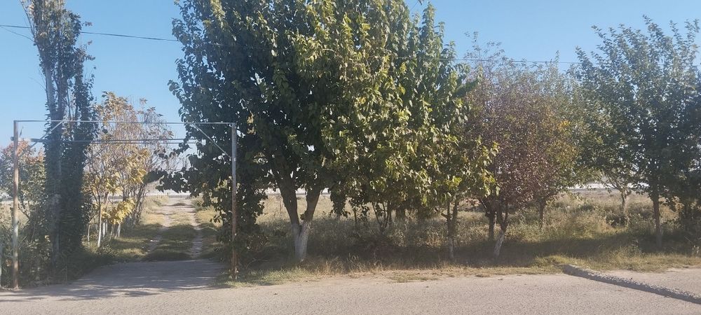 Mashal kottej birinchi qator