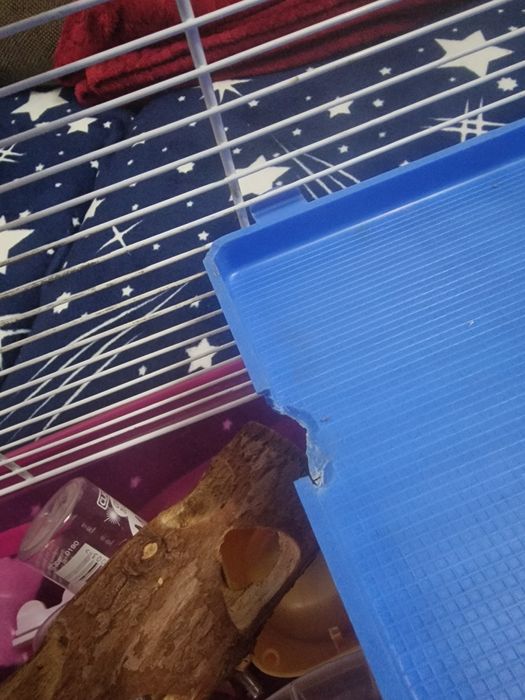 Cusca hamster toate accesoriile