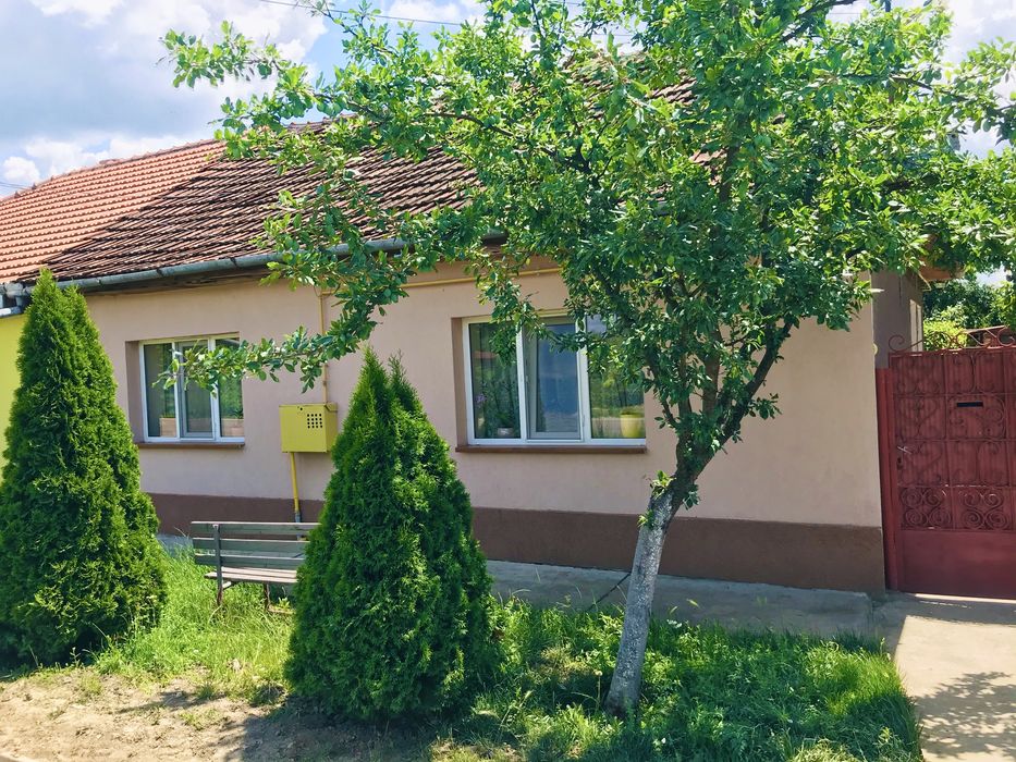 Casă de vânzare in Peciu Nou, la 17 km de Timișoara