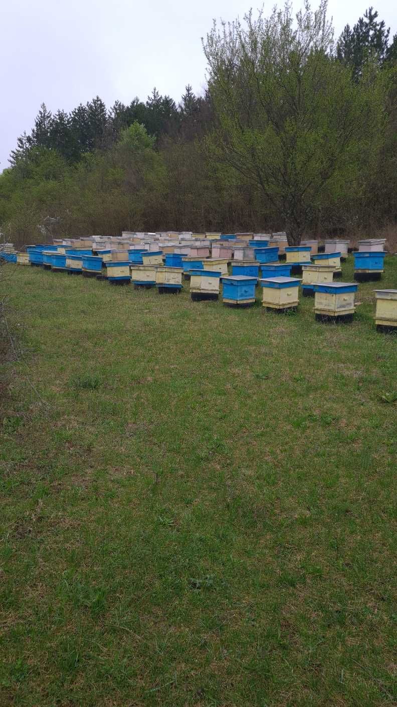 Продавам кошери ползвани