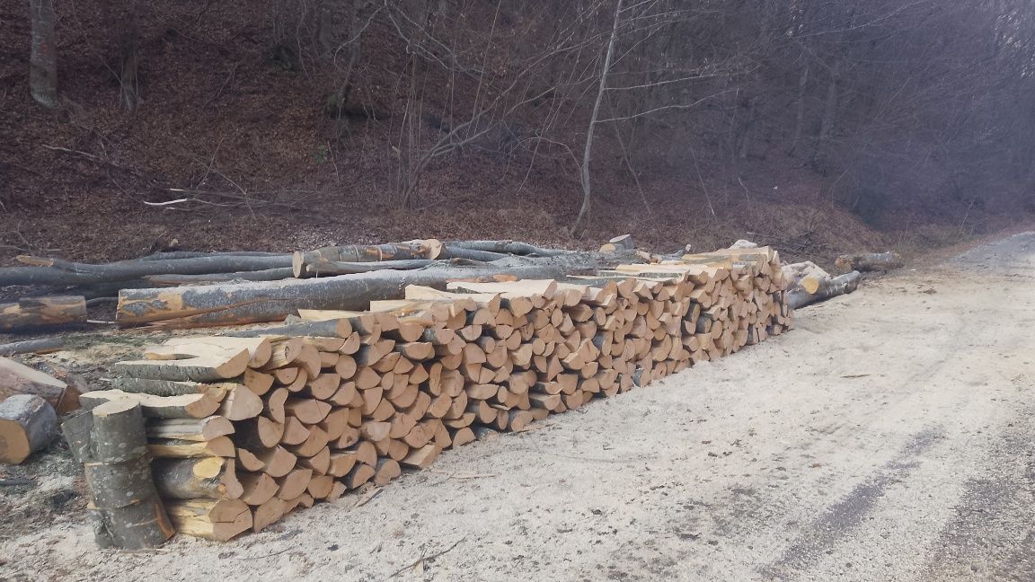 Lemn de foc esență tare