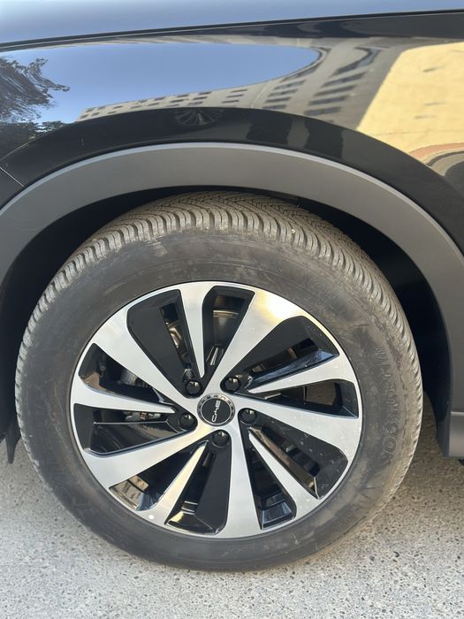 Byd chempion gibrid 2025