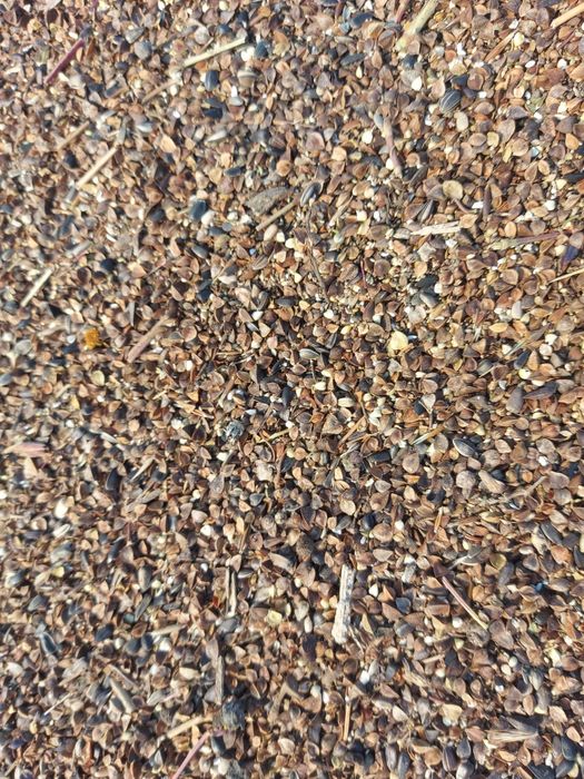 Продам отход гречихи