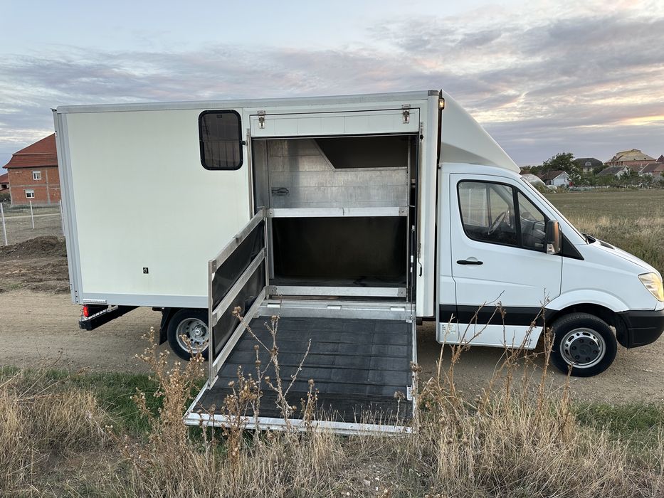 Mercedes sprinter transportanimale