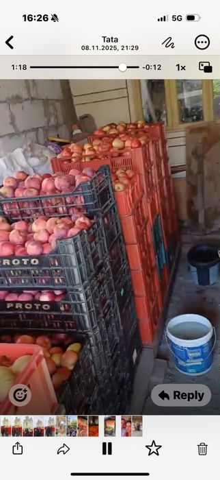 Mere de calitate superioara