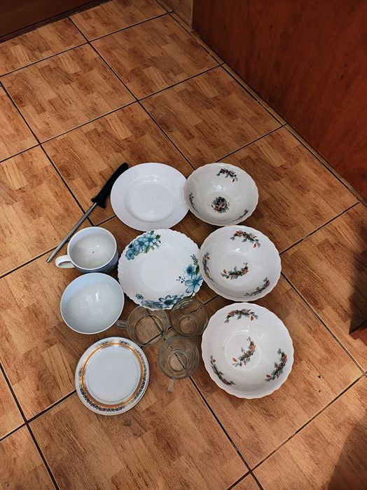 Farfurii cani castron vase farfurie