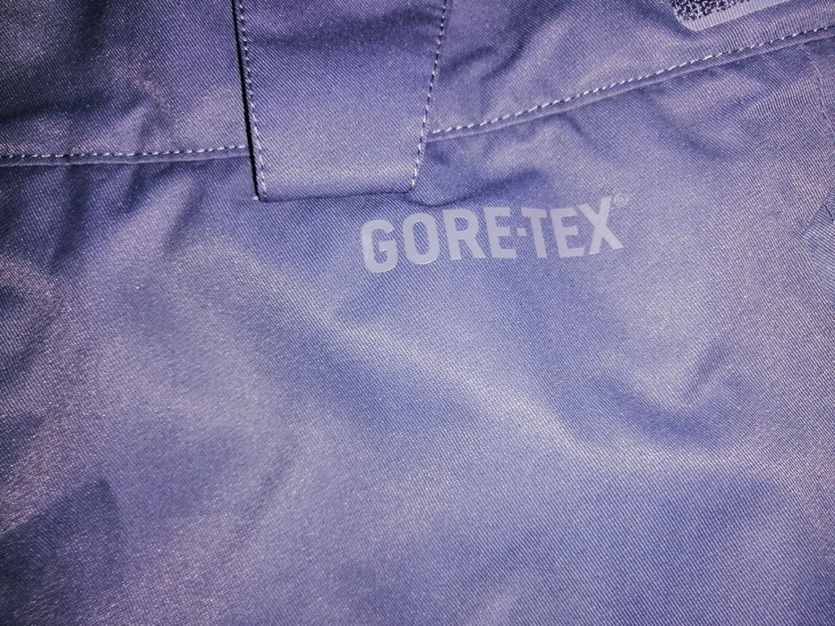 The north face steep series woman ski pants size L RECCO GORE-TEX