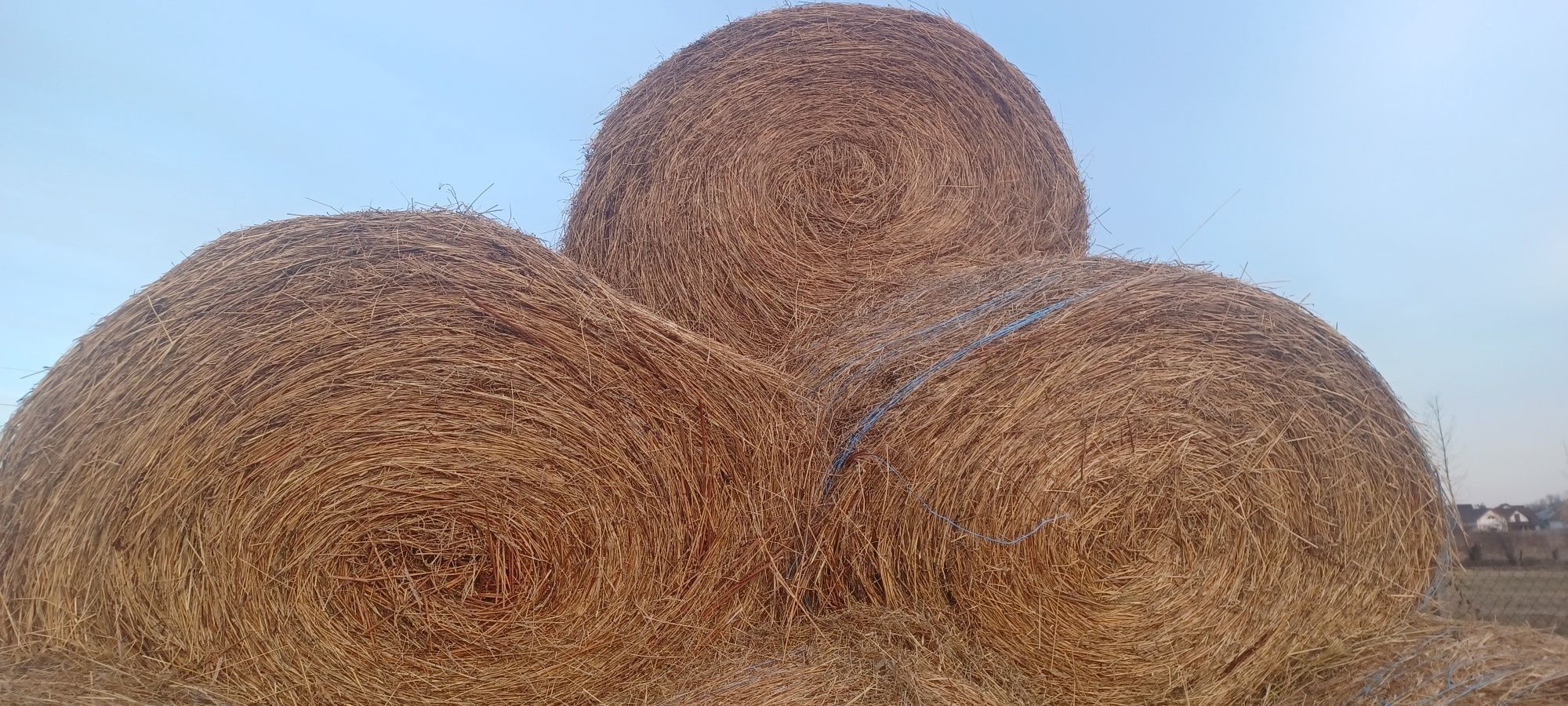 Vând BALOȚI DE FÂN rotunzi