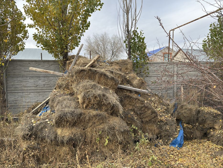 Бұтақ Түп Шөп сатылады