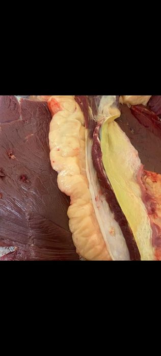 Ет,қазы, тойға ет