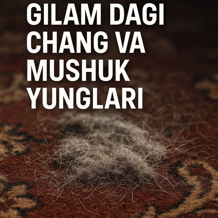 Hasanboy gilam yuvish korxonasi Navoiyda