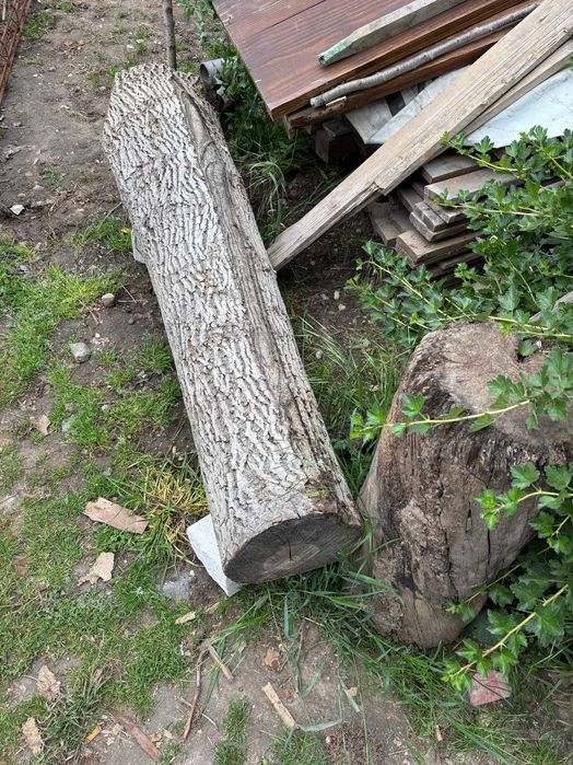 Vand lemn nuc si frasin