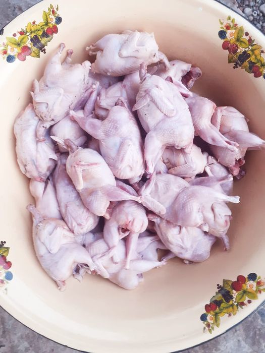 Емге бөдене еті. Мяса перепелов