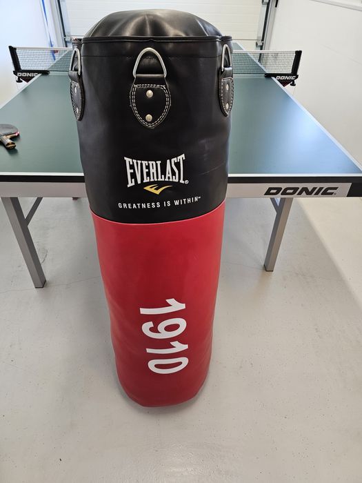 Vand sac de box profesional Everlast