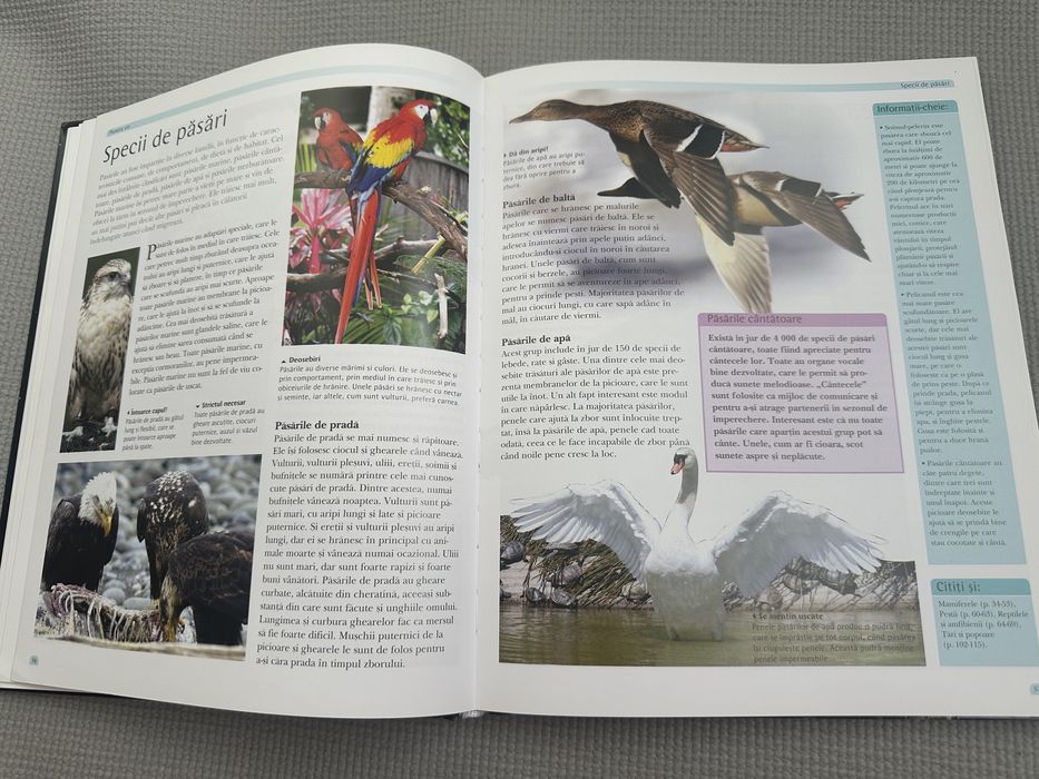 Enciclopedia lumii pentru copii