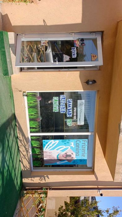 Frizerie canina Popești Leordeni