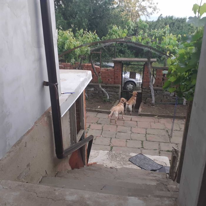 Продава се Къща в с. Терзийско, Област Бургас - 271 кв.м за 185 €/кв.м - Снимка #14