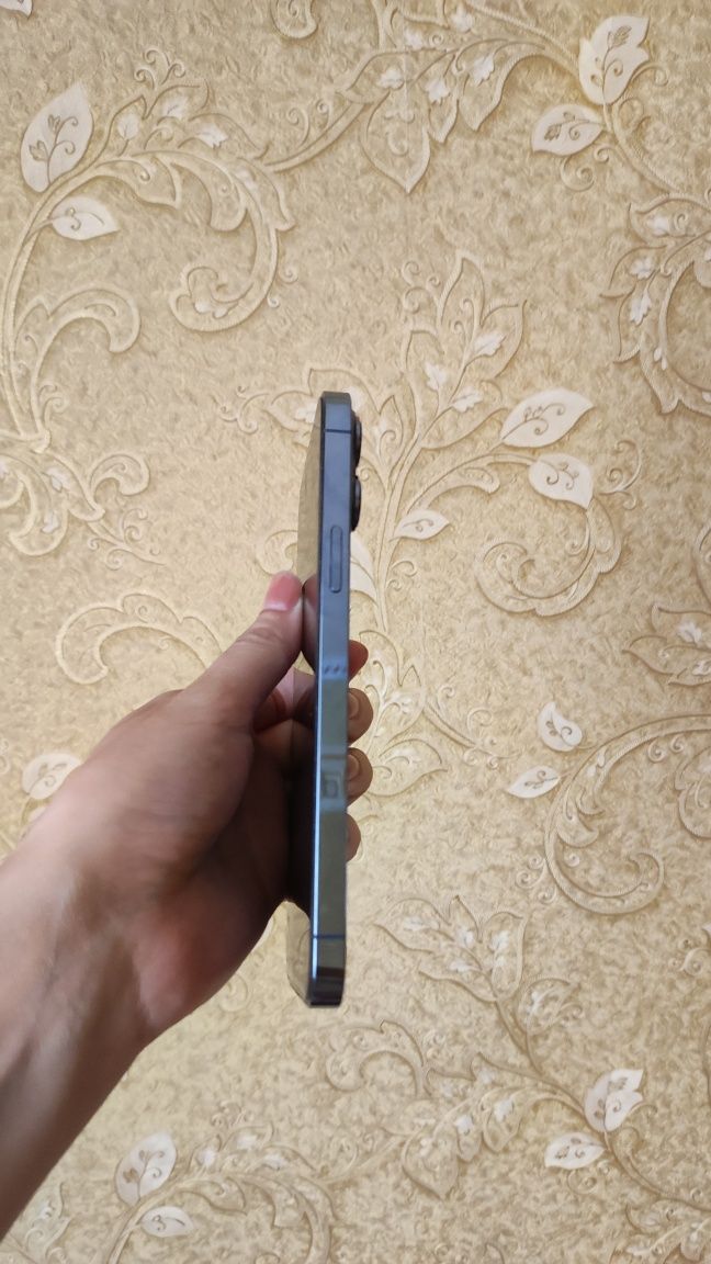 Iphone 13 pro max 256gb