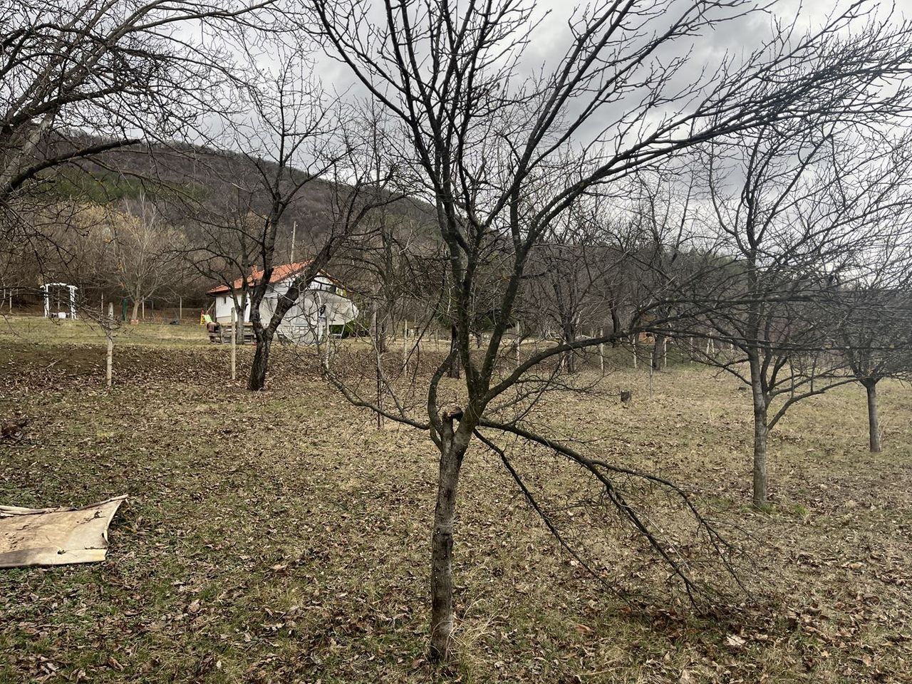 Продава се Парцел в Севлиево - 1515 кв.м за 10 €/кв.м - Снимка #2