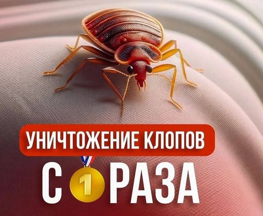 Dezinfeksya kilapa