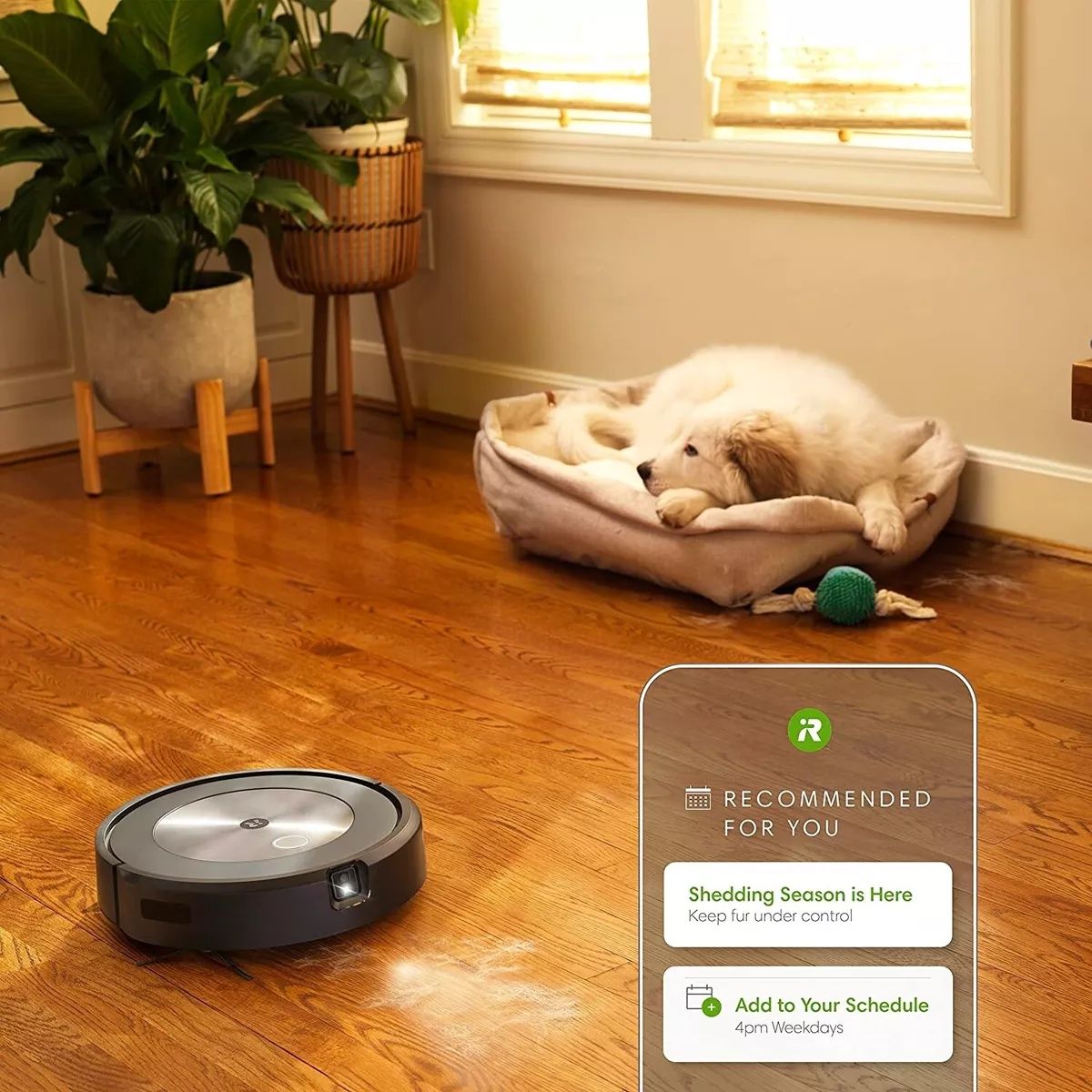 iRobot Roomba j7+ робот-пылесос/chang yutgich robot

робот-пылесос