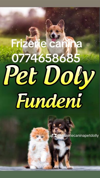 Frizerie canina  Tuns la domiciliu sau salon,Taxi