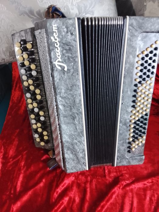 Сдам в аренду баян на новогодние праздники