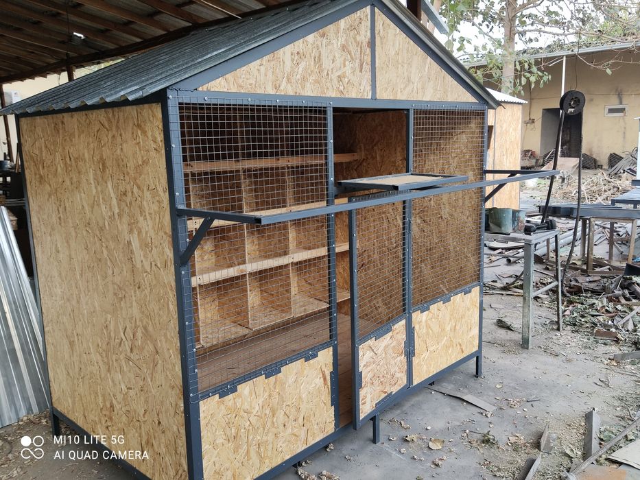 Chiroyli Kabutar kataklar