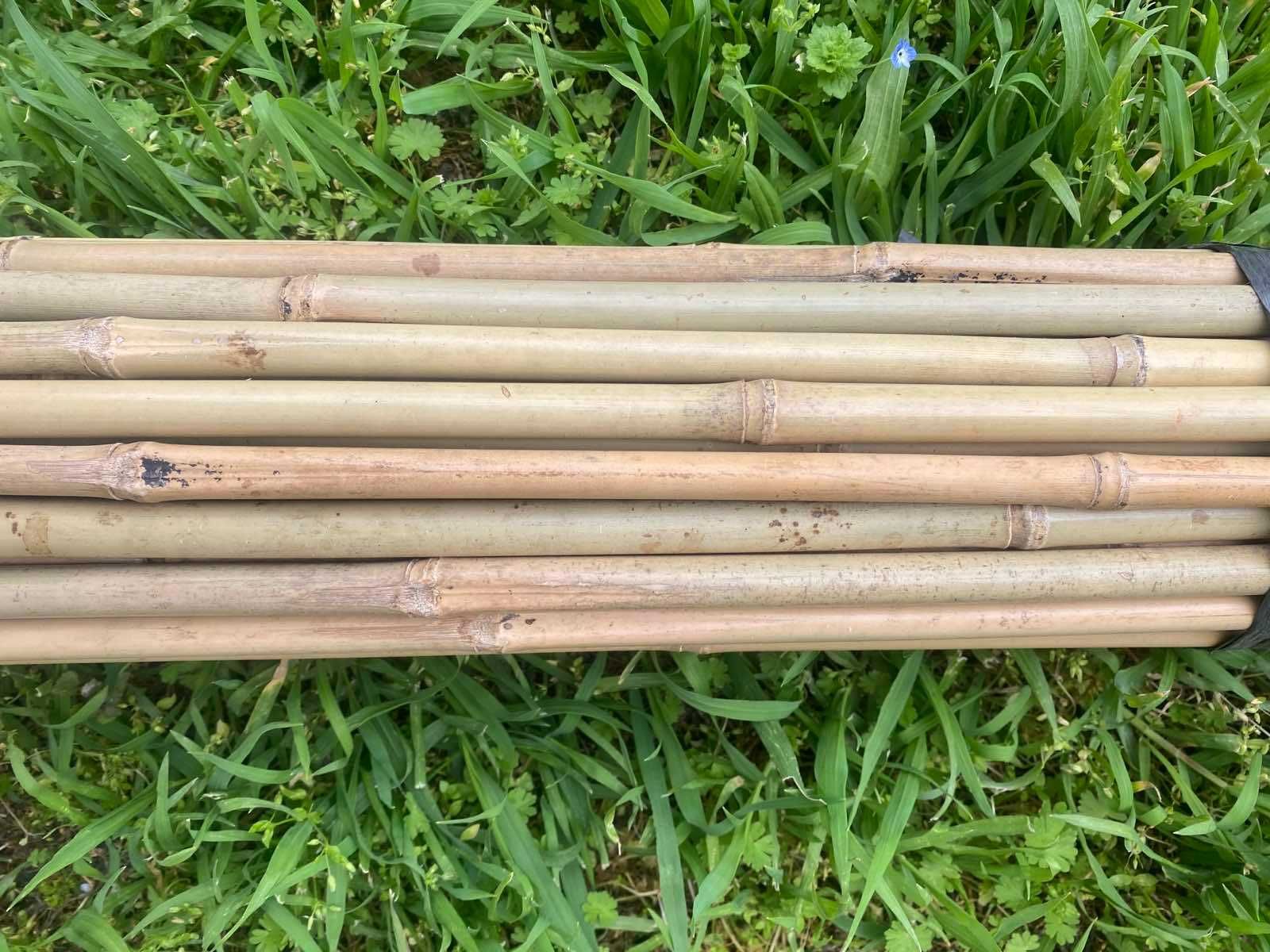 Колчета за домати бамбук 180/210см бамбукови пръчки 1.80/2.10м колове
