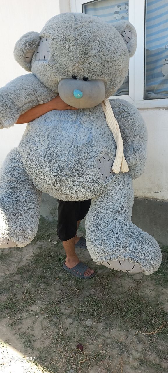 Тедди Мишка. Ayiqcha Teddy