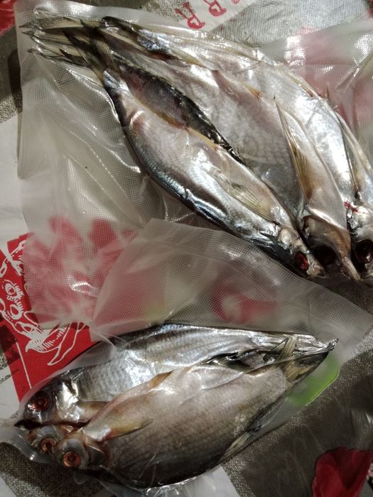 Продам рыбу вяленную
