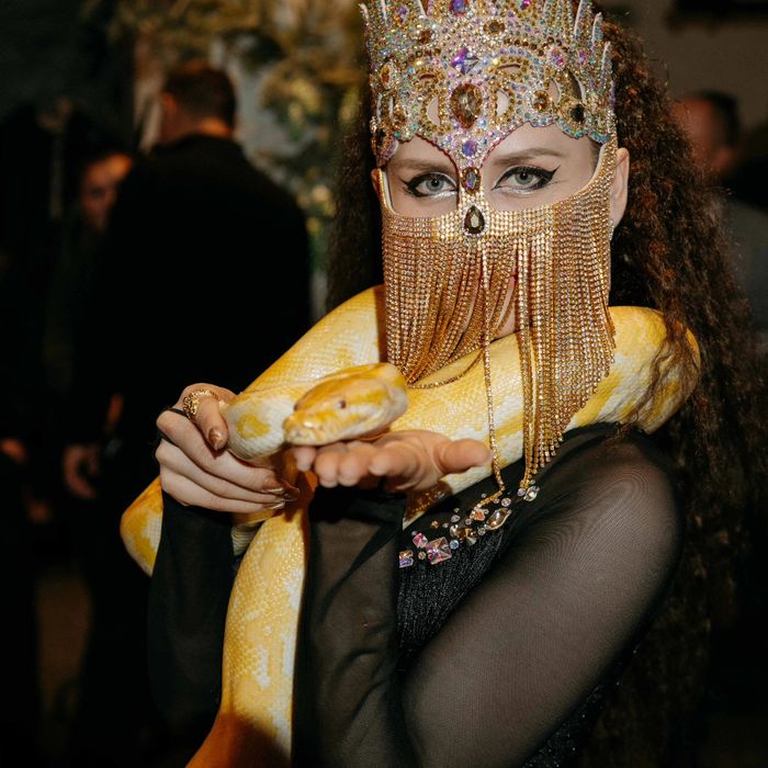 Пошив восточных костюмов.  Танец живота.  Восточные костюмы