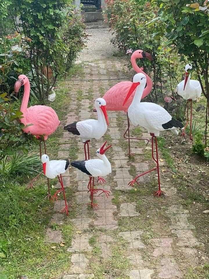 SET : 2 Flamingo Mare + 1 Barza Mica