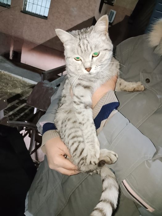 Девочка 7 месяцев