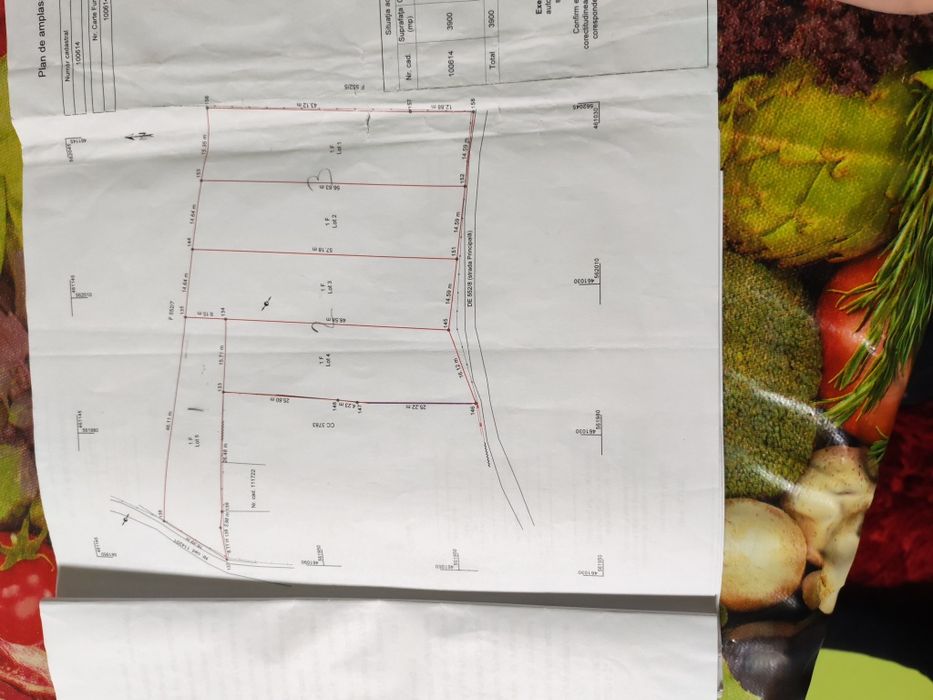 Parcele de vânzare ăn Purcăreni