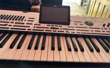 Vand korg pa 4x oriental cumparata de la mc music