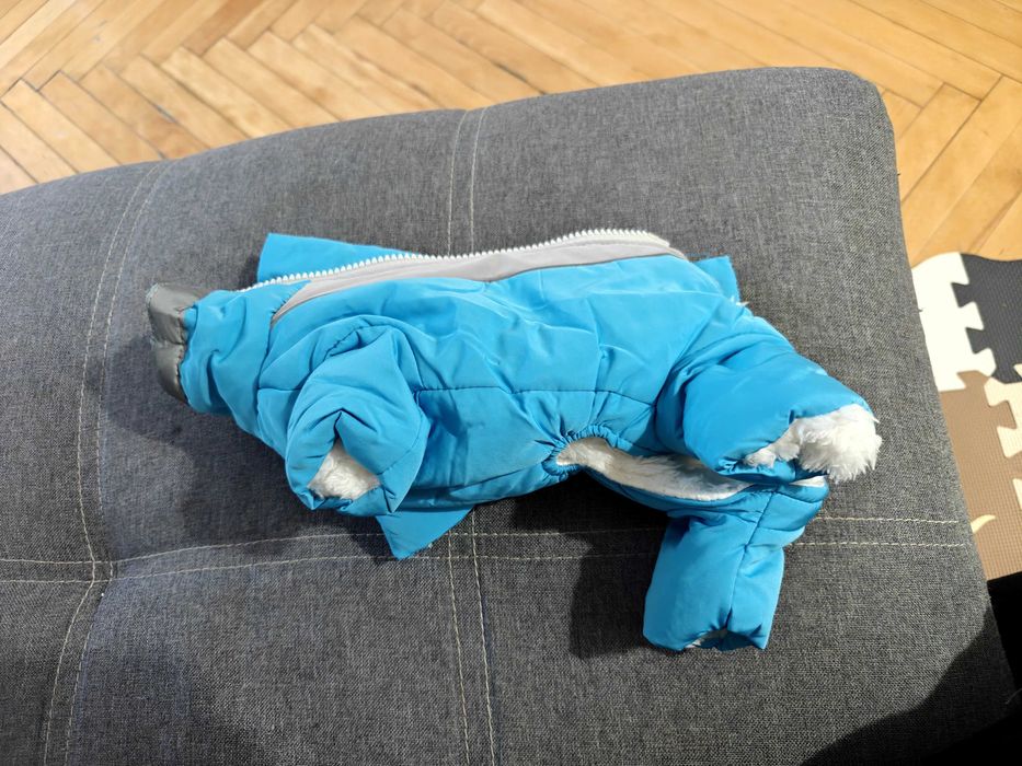 Haine groase de iarnă pentru un câine mic