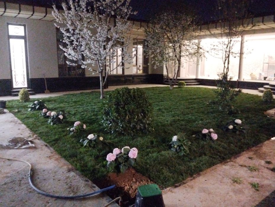 Archa kesish va gazon ekish lanshaft 20000 mingdan boshlab