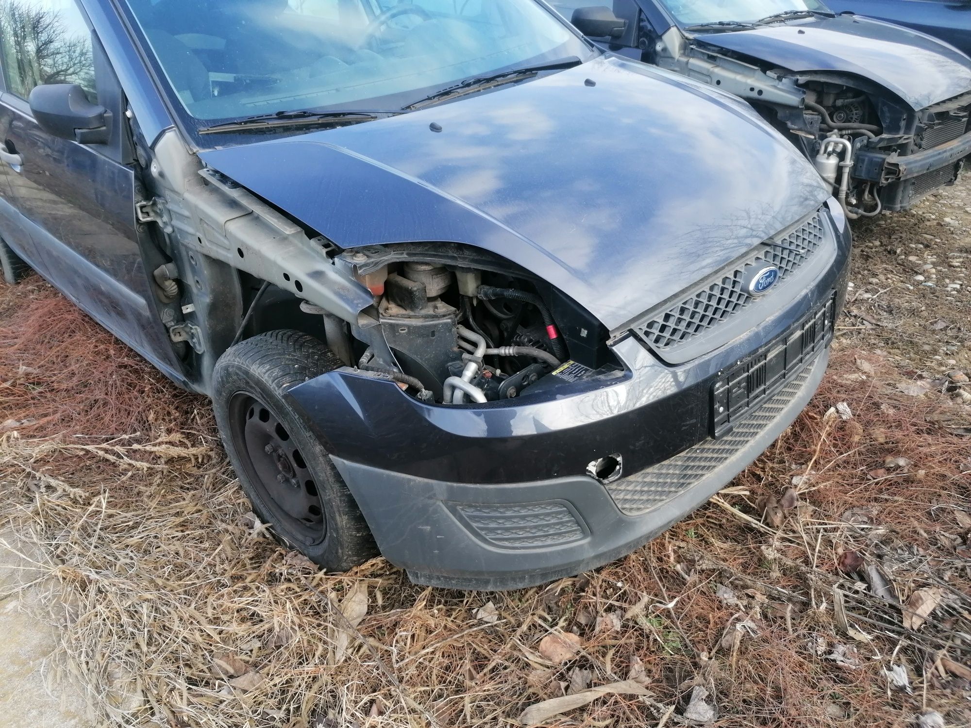 Bara fata Ford Fiesta ,facelift an 2005-2008