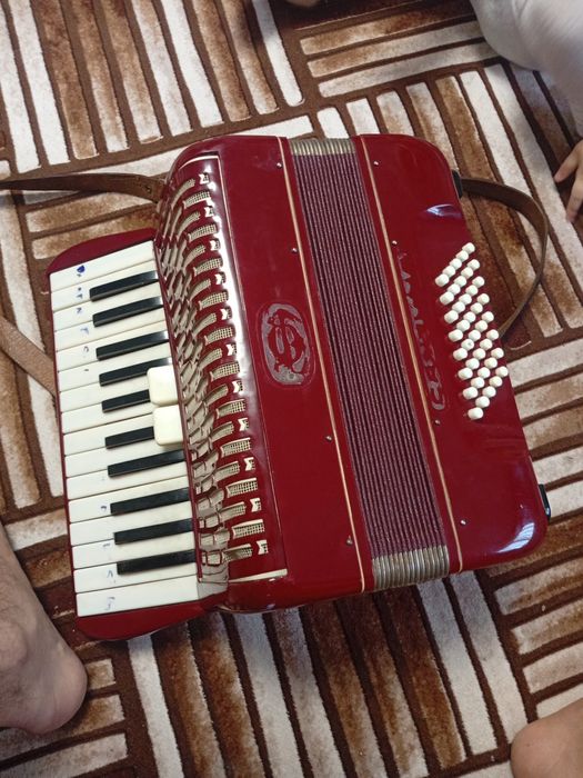 Acordeon in stare foarte buna