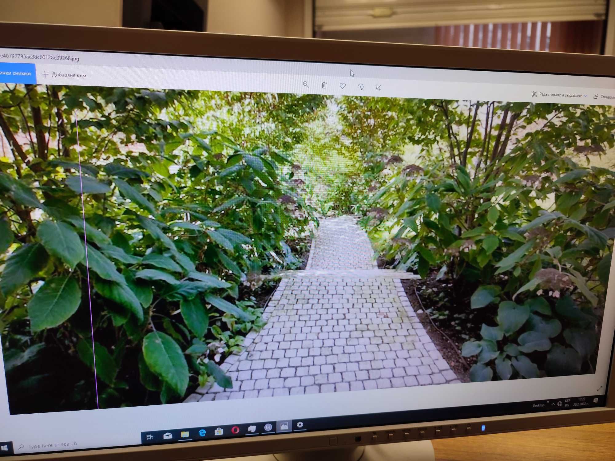 монитор EIZO Flex Scan EV2316W
