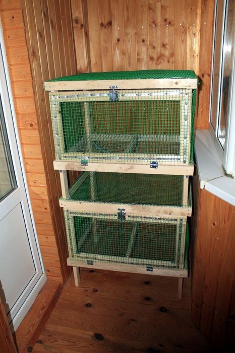 Bruder na zakaz lyuboy razmer