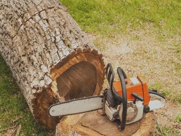 Спилим деревья. Любой сложности- сухие, аварийные, возле домов,заборов