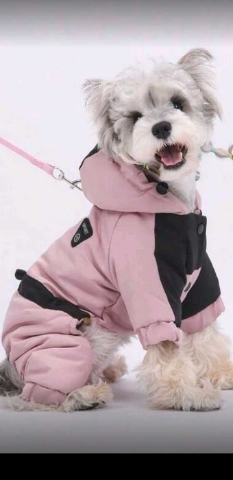 Гащеризон и обувки